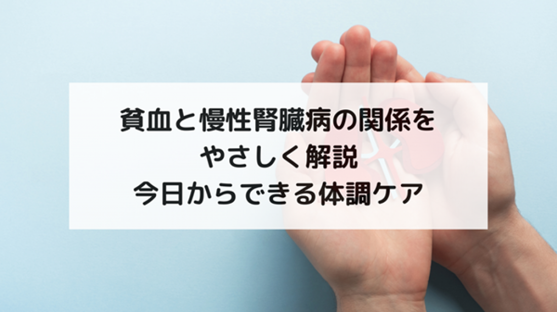 【腎臓ブログ】貧血と慢性腎臓病の関係をやさしく解説|今日からできる体調ケア
