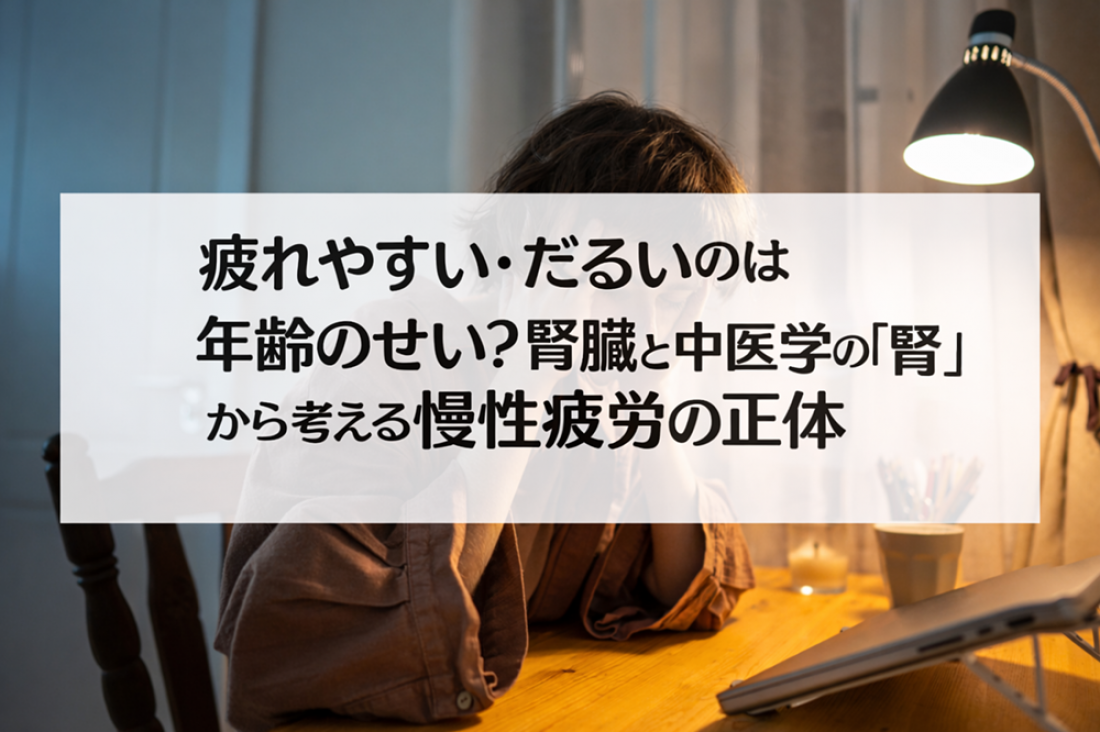 【腎臓ブログ】疲れやすい・だるいのは年齢のせい?腎臓と中医学の「腎」から考える慢性疲労の正体