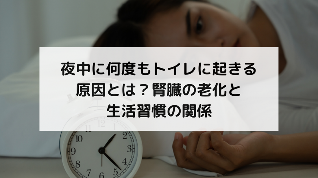【腎臓ブログ】夜中に何度もトイレに起きる原因とは?腎臓の老化と生活習慣の関係を解説します。