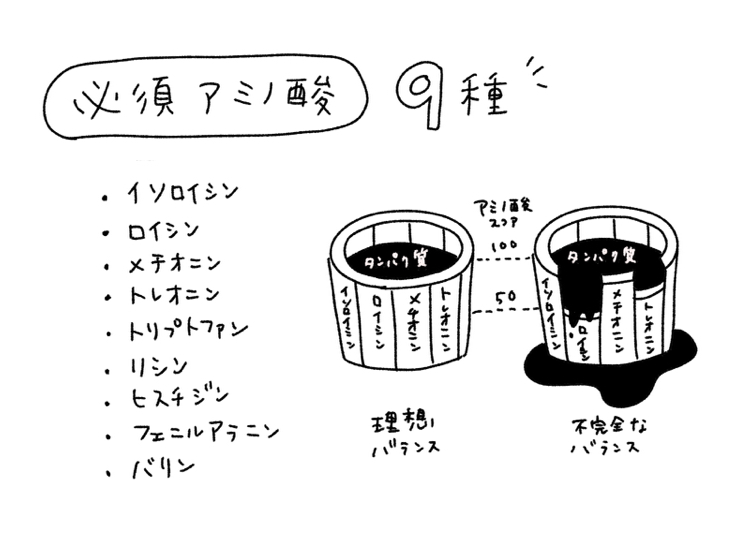 アミノ酸スコア