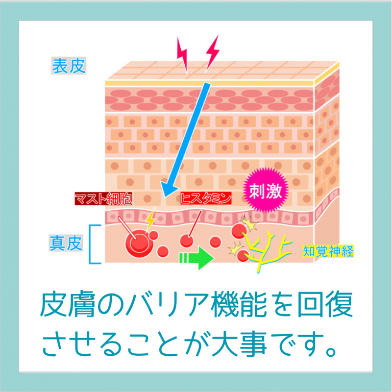 皮膚病漢方相談
アトピー、ニキビの悪化を繰り返してないですか？