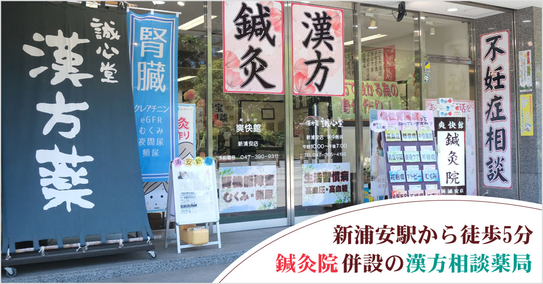 誠心堂薬局 新浦安店