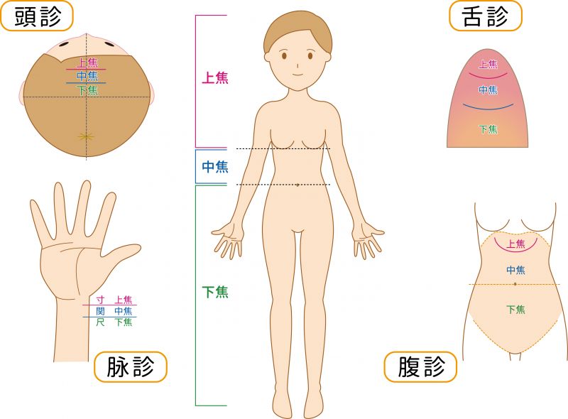 妊活鍼灸「三焦調整法」