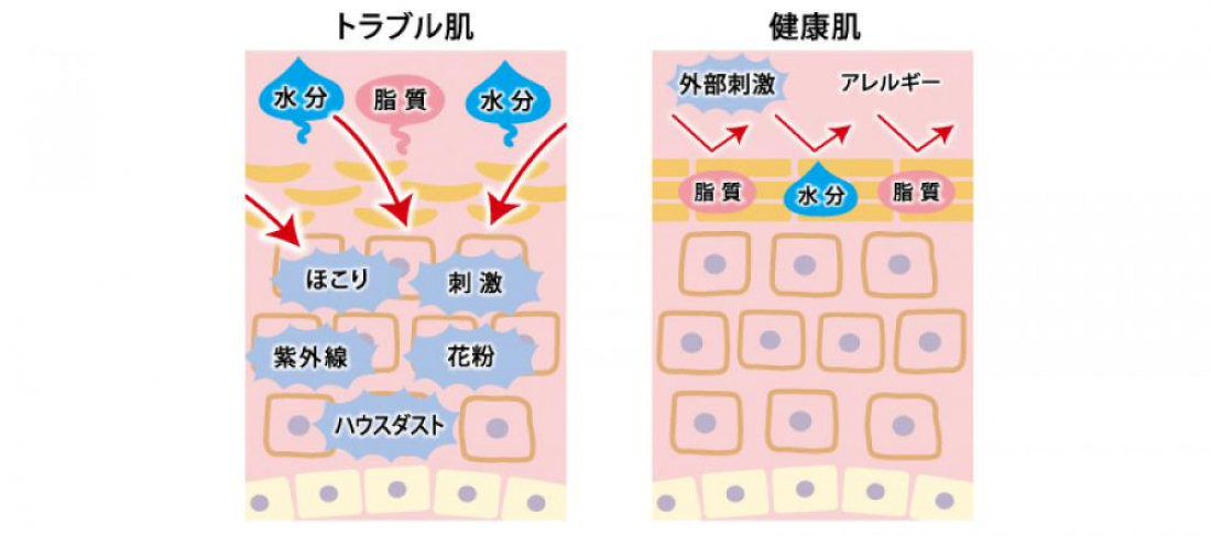 中医美容皮膚科コラム①バリア機能のおはなし