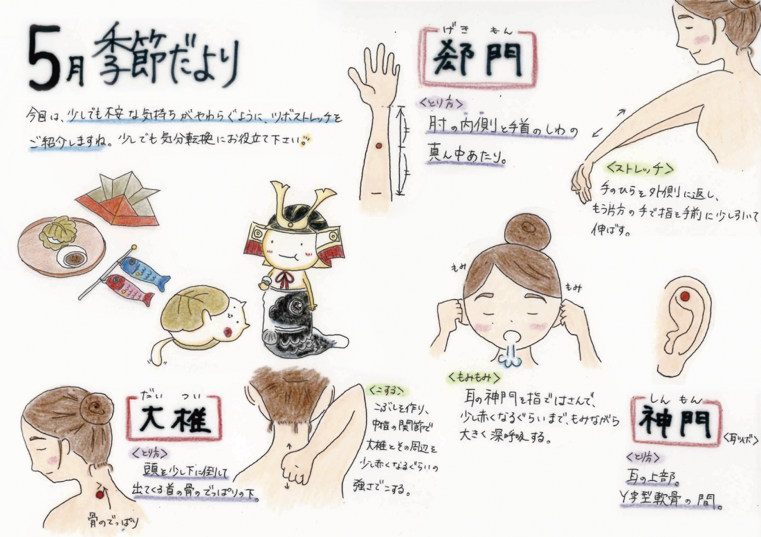 【5月の薬膳レシピ・養生】