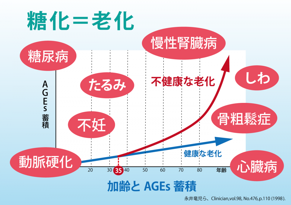 【新浦安で慢性腎臓病(CKD)対策|老化=糖化】AGEsの蓄積が腎臓を傷める理由とは?