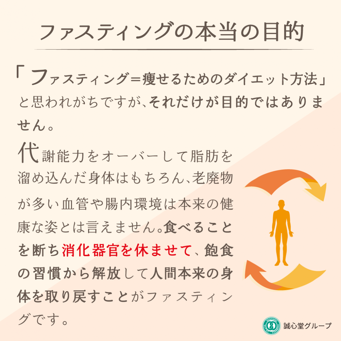 新浦安で肌の老化が気になる方へ|糖化とAGEs、そして美血ファスティングのすすめ