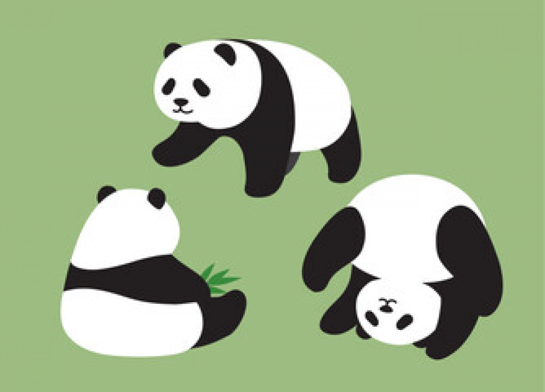口臭・体臭・加齢臭対策に ~クマ笹生活をはじめませんか?~