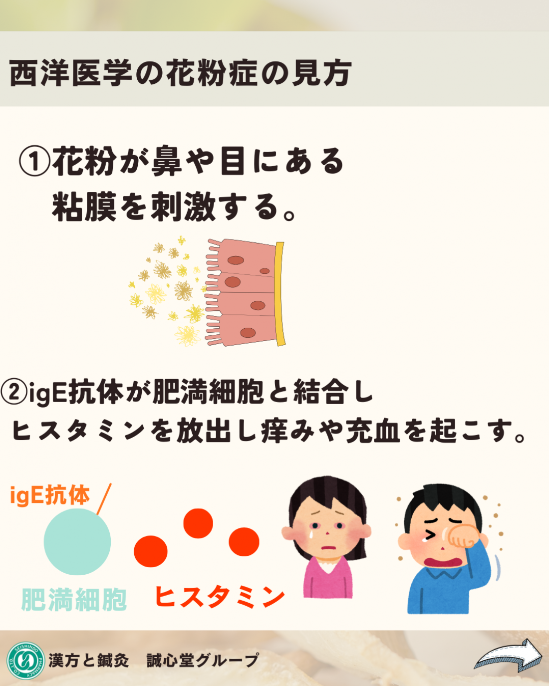 花粉症の漢方薬ってどんなもの?