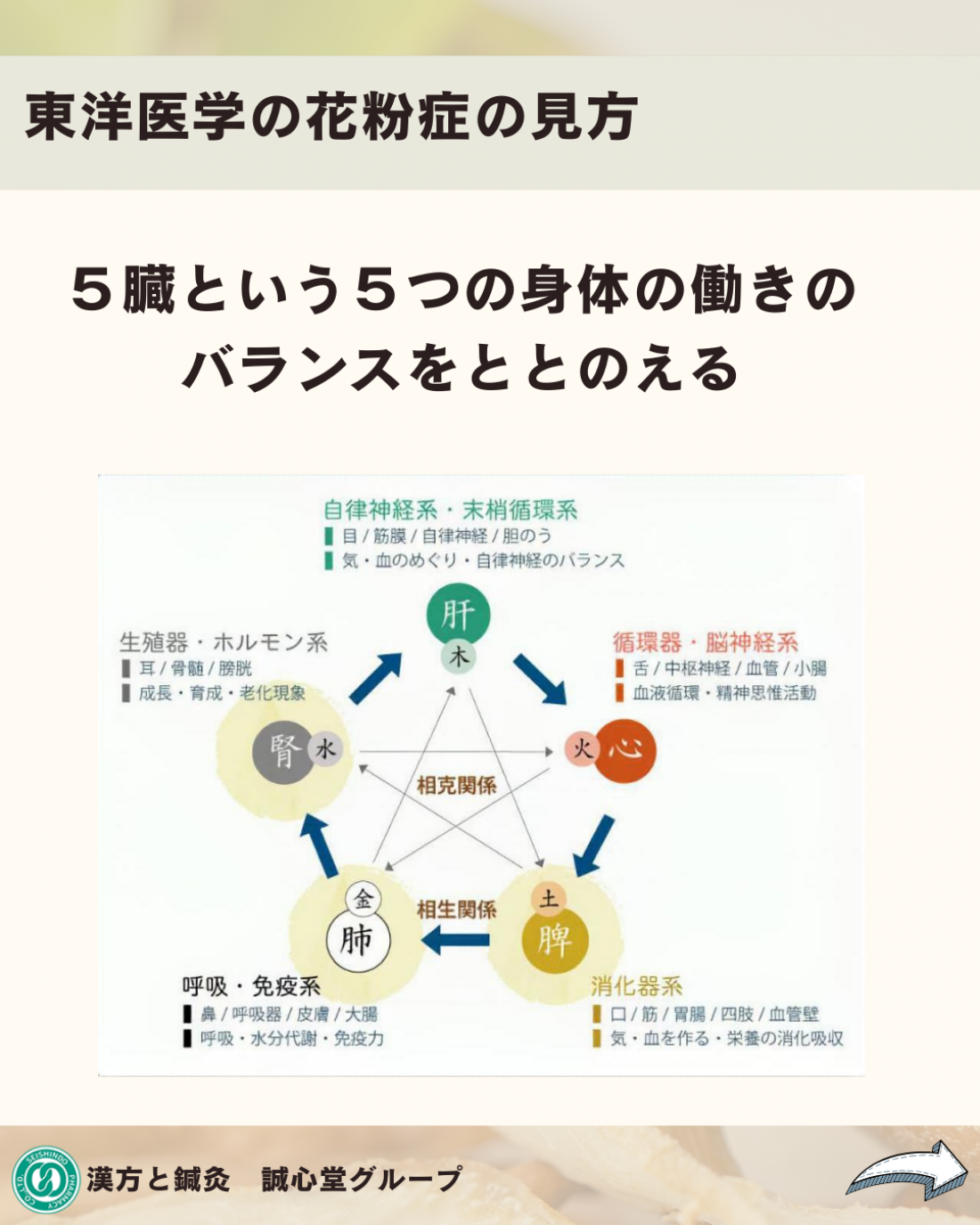 花粉症の漢方薬ってどんなもの?